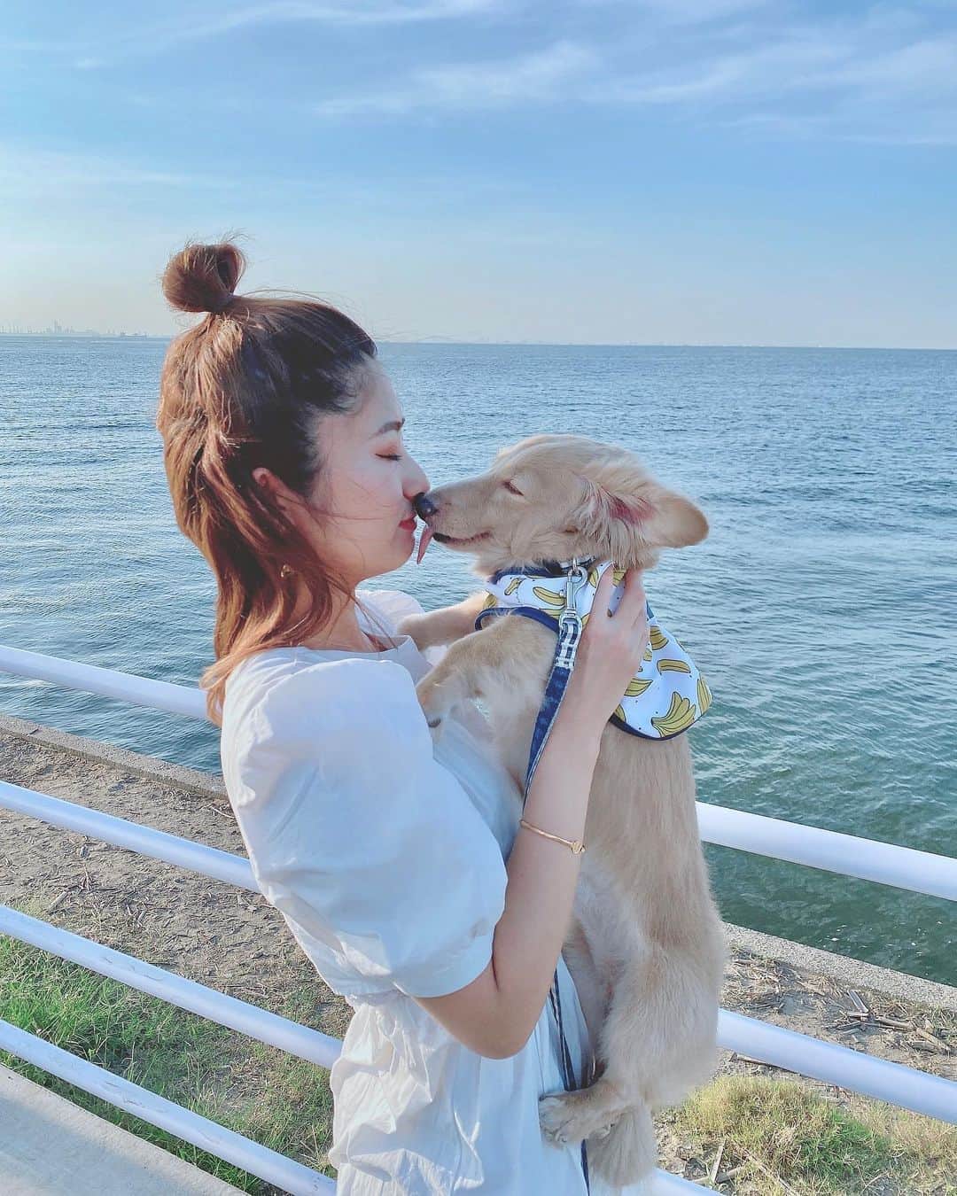 青野美沙稀さんのインスタグラム写真 - (青野美沙稀Instagram)「今年の夏のお気に入りショット🌼﻿ ﻿ #愛犬 #dog #love #zack ﻿ #sea #海 #summer #夏」9月8日 18時22分 - misaki_aono