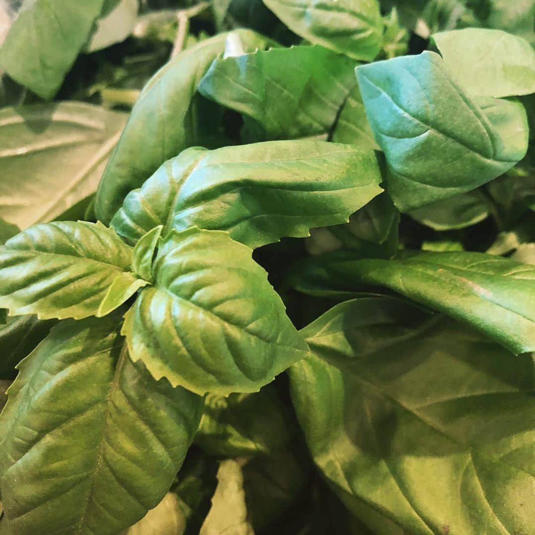 サルヴァトーレクオモ小矢部のグルメインスタ