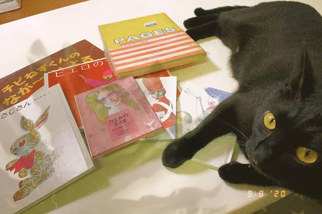 秋山ゆずきのインスタグラム：「. . 今日もゲームはじめるよ！ 今日1日の良かった事10個ね  よーい、どん！！！  ①古本屋さんで買った絵本達 ②吉澤嘉代子さんの【ちょっとちょうだい】 ③地球が虫かごだとして誰を見ていたいか ④乾燥機でぐしゃぐしゃになったチャッキー ⑤お昼に食べたカレー ⑥1時間で終わらせたお昼寝 ⑦傷が薄くなってきた ⑧舞台のチケット ⑨左側の顔 ⑩電車が逆に走り出したけど1駅で気づけた。だからみんな降りたのか  カンカンカンカン〜🦦  知人に、良かった事10個 意味がわからないって言われたんだけど 私の良い事リストは タイトルなので想像してね‪‪☺︎‬  どういう事かな？って 考えるとさ、その人のこと考える時間増えるでしょ。 それが良いよね🙆‍♀️  #ゲーム女子  #ゲーム実況 #おすすめ」