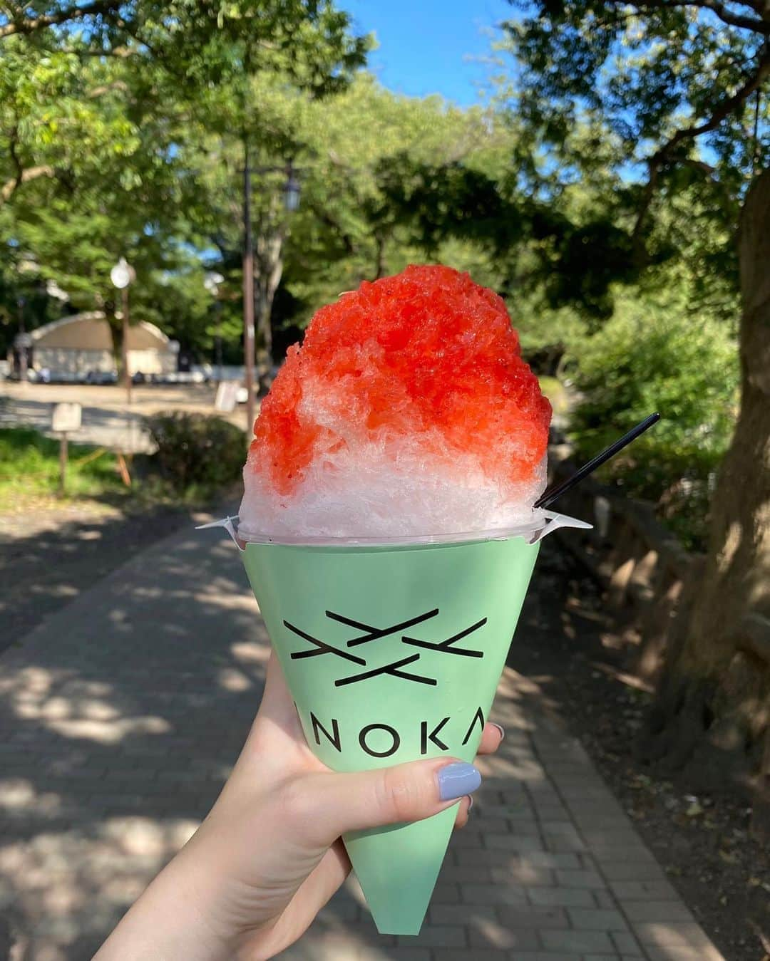 水上京香さんのインスタグラム写真 - (水上京香Instagram)「今年は4杯🍧🍧🍧🍧 そろそろ食べ納めの季節でしょうか。」9月8日 19時22分 - kyokaminakami_official