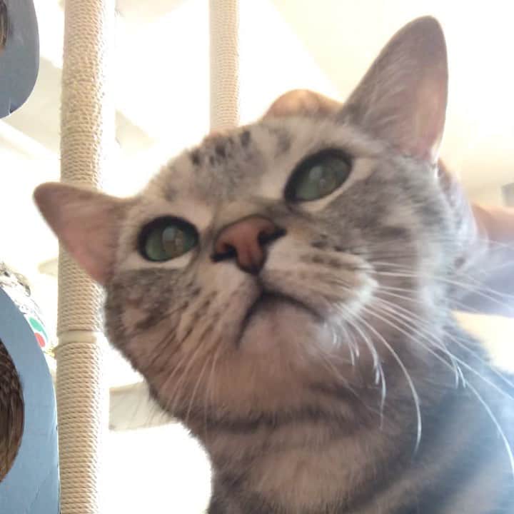 Alain アランのインスタグラム