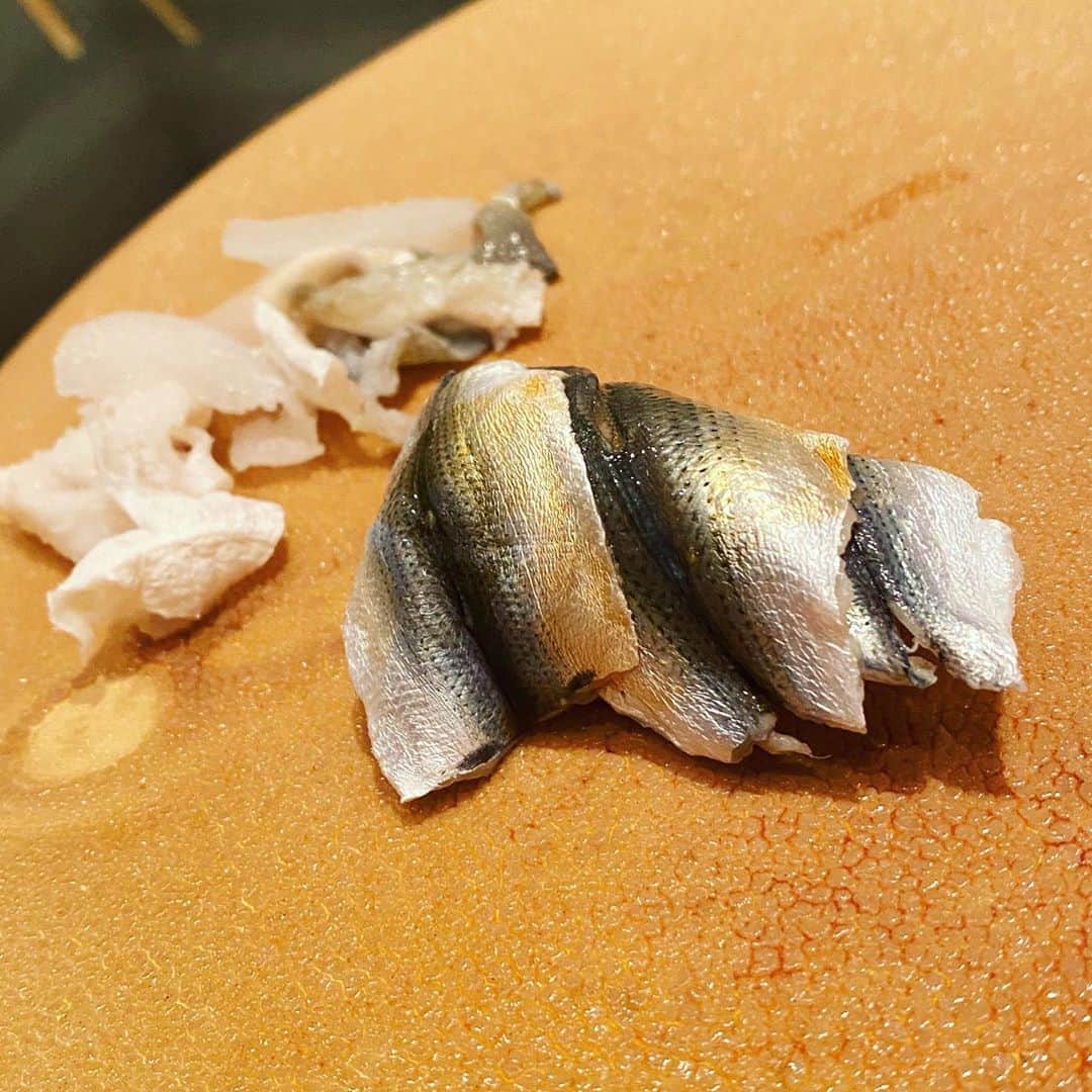TOGGYさんのインスタグラム写真 - (TOGGYInstagram)「出世魚「コノシロ」の幼魚、10センチほどの大きさが「コハダ」。  その半分くらい、なかなか出会えない「新子(シンコ)」。  夏の名残りを味わえて幸せ…  大将、ありがとうございました🍣」9月9日 5時01分 - dj_toggy