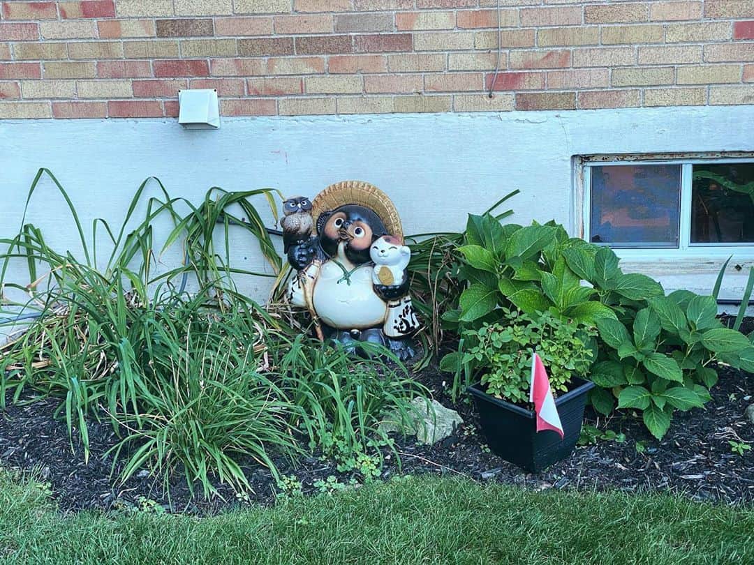 サイモンとマルティナさんのインスタグラム写真 - (サイモンとマルティナInstagram)「My mom walking into her backyard and discovering the “garden ornament” I brought from Japan. 🦝 Enhance *swipes* enhance *swipes* TANUKIIIIIIII!!! #tanuki」9月9日 6時02分 - eatyourkimchi
