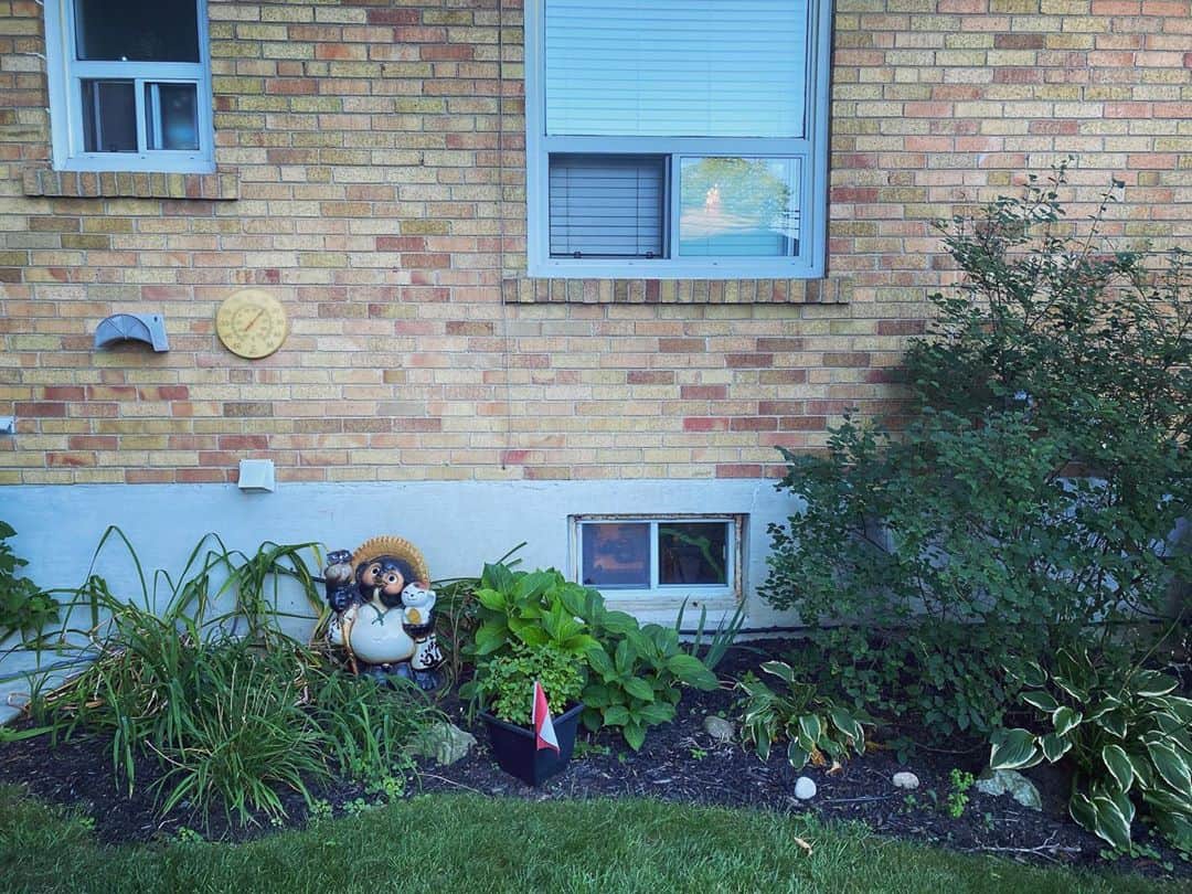 サイモンとマルティナのインスタグラム：「My mom walking into her backyard and discovering the “garden ornament” I brought from Japan. 🦝 Enhance *swipes* enhance *swipes* TANUKIIIIIIII!!! #tanuki」