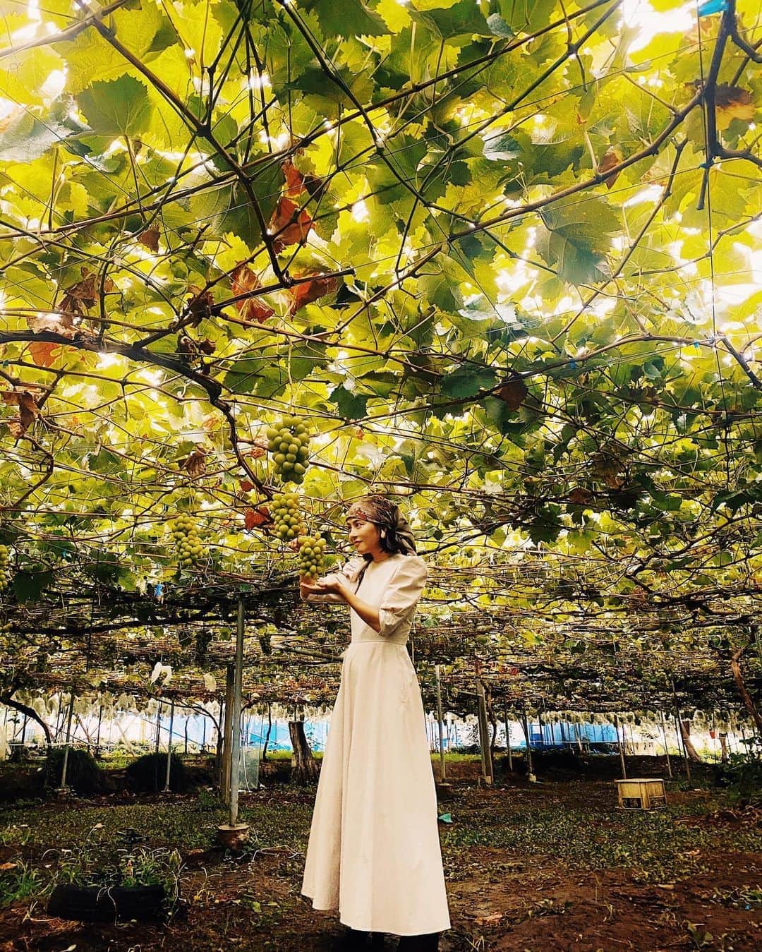 白澤貴子のグルメインスタ