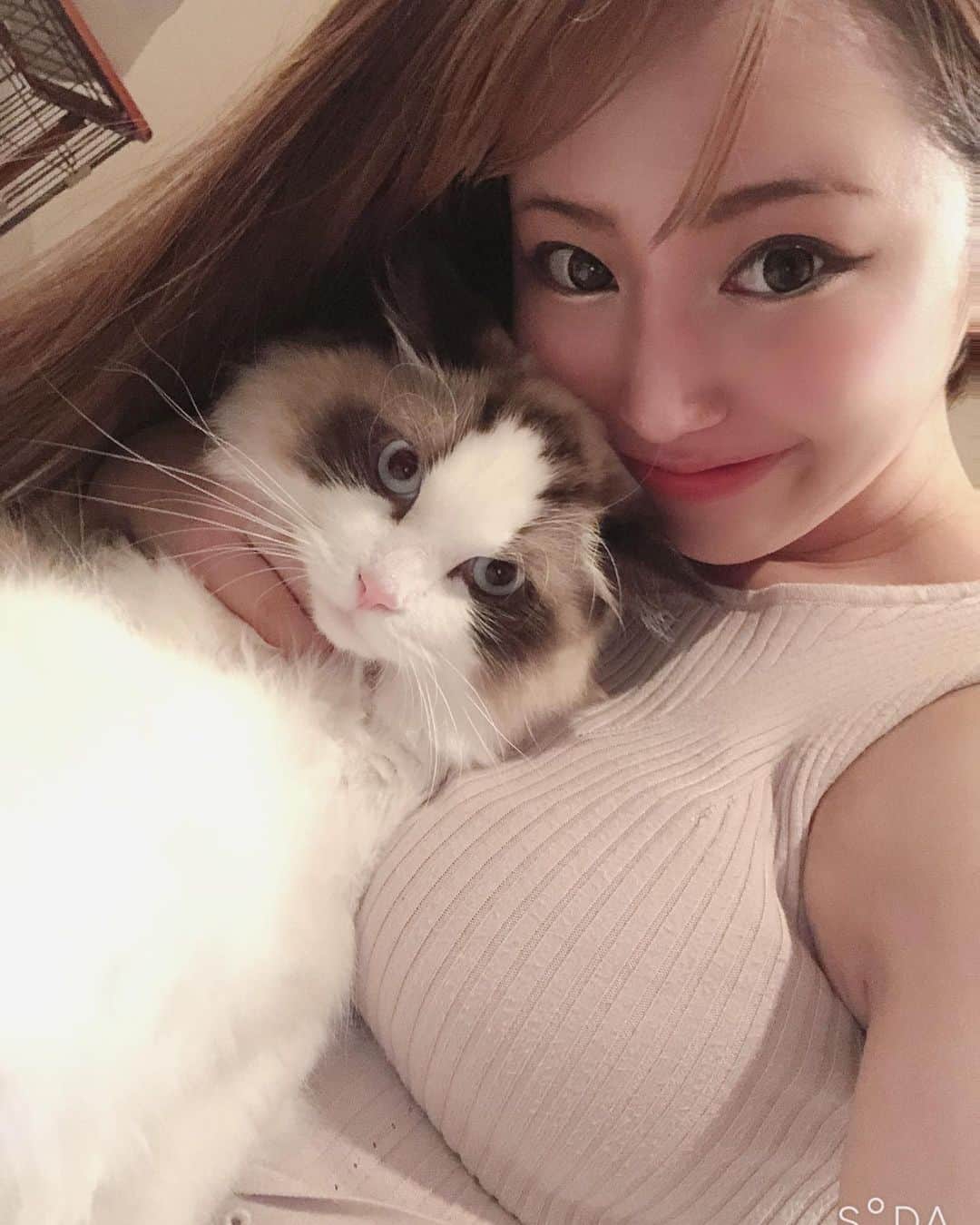 愛場れいらさんのインスタグラム写真 - (愛場れいらInstagram)「大とぅき❤️な らーたん🐱 . . . . 飼い主の自撮りに付き合わされて大変です。 皆チュールの差し入れいつもありがとう💓✨ . . . . . #撮影会モデル　#モデル #着衣巨乳　#japanesegirls #ラグドール　#着衣おっぱい  #グラビアアイドル　#instagood #instacats_meow」9月8日 21時18分 - aibareira2