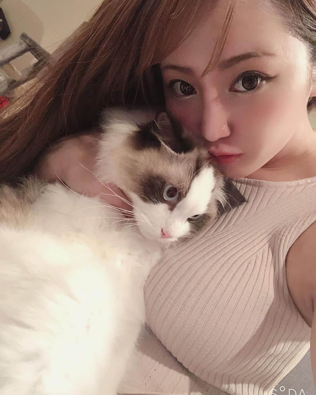 愛場れいらさんのインスタグラム写真 - (愛場れいらInstagram)「大とぅき❤️な らーたん🐱 . . . . 飼い主の自撮りに付き合わされて大変です。 皆チュールの差し入れいつもありがとう💓✨ . . . . . #撮影会モデル　#モデル #着衣巨乳　#japanesegirls #ラグドール　#着衣おっぱい  #グラビアアイドル　#instagood #instacats_meow」9月8日 21時18分 - aibareira2