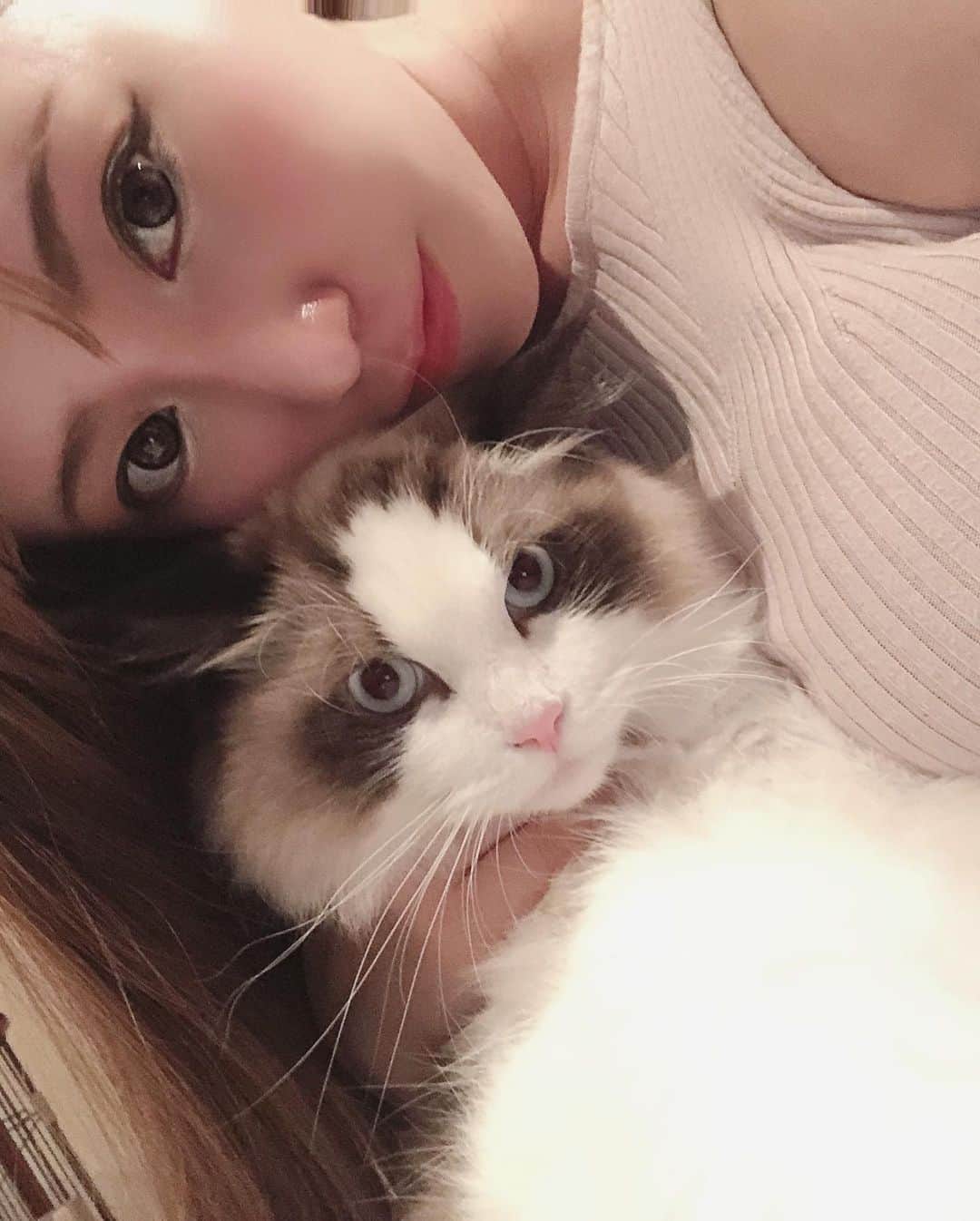 愛場れいらさんのインスタグラム写真 - (愛場れいらInstagram)「大とぅき❤️な らーたん🐱 . . . . 飼い主の自撮りに付き合わされて大変です。 皆チュールの差し入れいつもありがとう💓✨ . . . . . #撮影会モデル　#モデル #着衣巨乳　#japanesegirls #ラグドール　#着衣おっぱい  #グラビアアイドル　#instagood #instacats_meow」9月8日 21時18分 - aibareira2