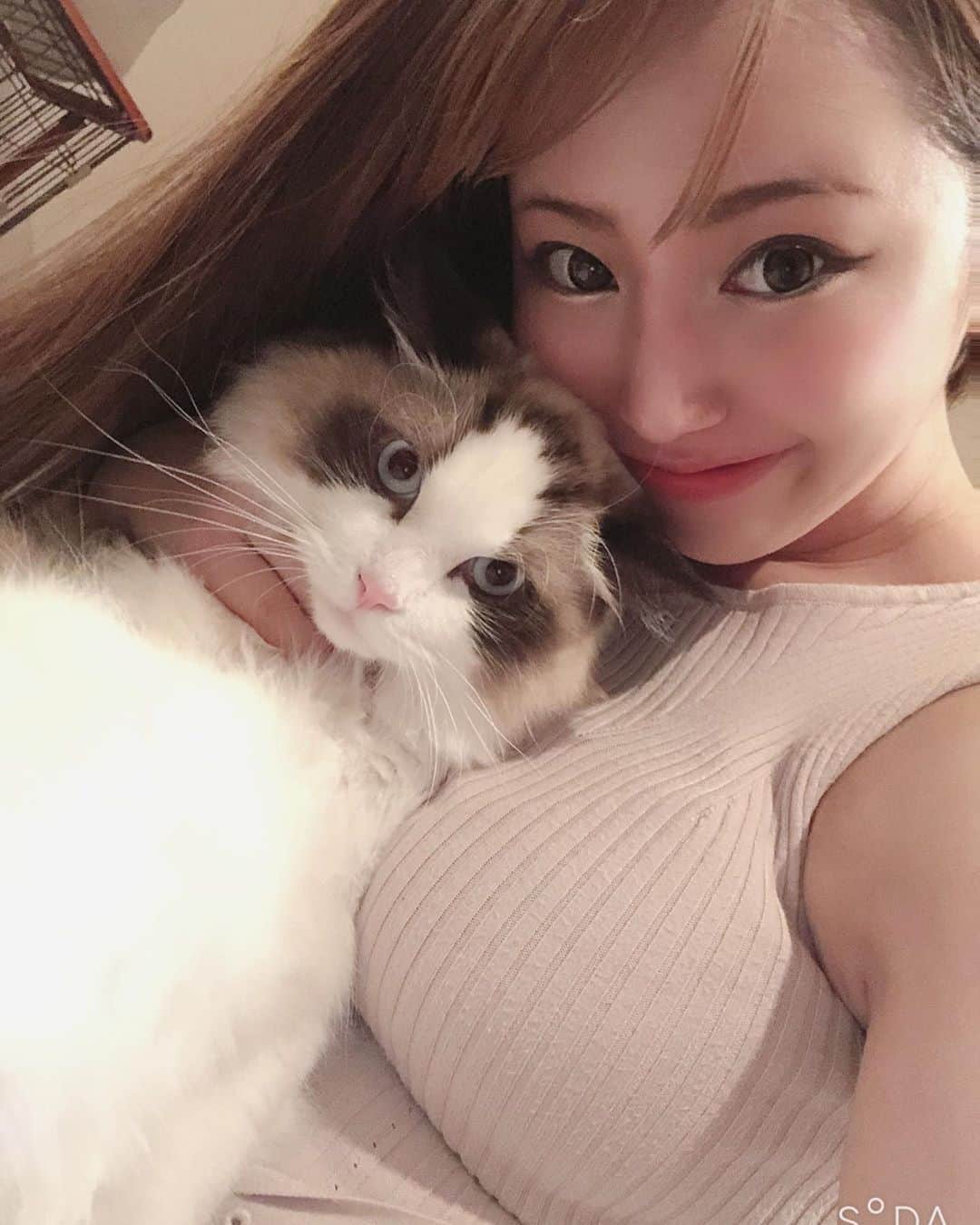 のインスタグラム：「大とぅき❤️な らーたん🐱 . . . . 飼い主の自撮りに付き合わされて大変です。 皆チュールの差し入れいつもありがとう💓✨ . . . . . #撮影会モデル　#モデル #着衣巨乳　#japanesegirls #ラグドール　#着衣おっぱい  #グラビアアイドル　#instagood #instacats_meow」