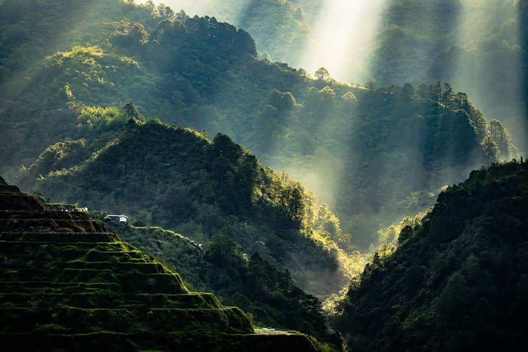 Fujifilm UKさんのインスタグラム写真 - (Fujifilm UKInstagram)「FEATURED PHOTOGRAPHER OF THE WEEK  “There were times during my travels when a seemingly endless string of bad luck paved the way for a wonderful opportunity. I had asked a local tricycle driver to bring me to a view point early in the morning. He was an hour late and halfway through the trip the tricycle broke down, I had to walk the rest of the way. When I reached the viewpoint the scene was quite gloomy. I waited, then gave up. Disappointed, I made my way back to town. I passed a couple of locals and talked to them. Then I saw my reflection on a car window… my hair turning almost golden as sunlight started to envelope the scene. I looked back to the terraces and this is what I saw.”  Often photography is about patience as @sheescobar explains with this beautiful landscape shot captured in the Philippines.   #XT1 XF60mmF2.4 R Macro F10, 1/500 sec  #FujifilmXSeries #XSeries #FujifilmX #XFlenses」9月8日 21時45分 - fujifilmuk