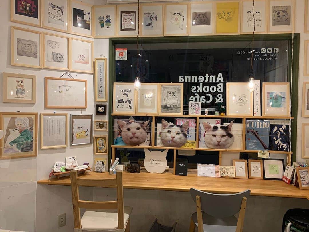Kachimo Yoshimatsuさんのインスタグラム写真 - (Kachimo YoshimatsuInstagram)「みんなのナナクロ展残り5日。 ちょっと展示レイアウトを変更しました。まだ数枚貼れそうです。 明日は、オープンからココシバで仕事してますのでぜひ！ #うちの猫ら #ナナクロ #みんなのナナクロ展 #ナナクロ大好き #ナナクロの絵 #猫 #ねこ #cat #ネコ #catstagram #ネコ部 http://kachimo.exblog.jp」9月8日 21時48分 - kachimo
