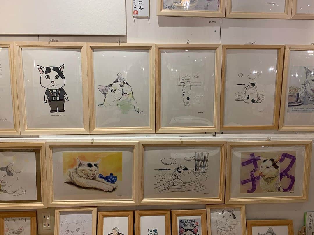 Kachimo Yoshimatsuさんのインスタグラム写真 - (Kachimo YoshimatsuInstagram)「みんなのナナクロ展残り5日。 ちょっと展示レイアウトを変更しました。まだ数枚貼れそうです。 明日は、オープンからココシバで仕事してますのでぜひ！ #うちの猫ら #ナナクロ #みんなのナナクロ展 #ナナクロ大好き #ナナクロの絵 #猫 #ねこ #cat #ネコ #catstagram #ネコ部 http://kachimo.exblog.jp」9月8日 21時48分 - kachimo