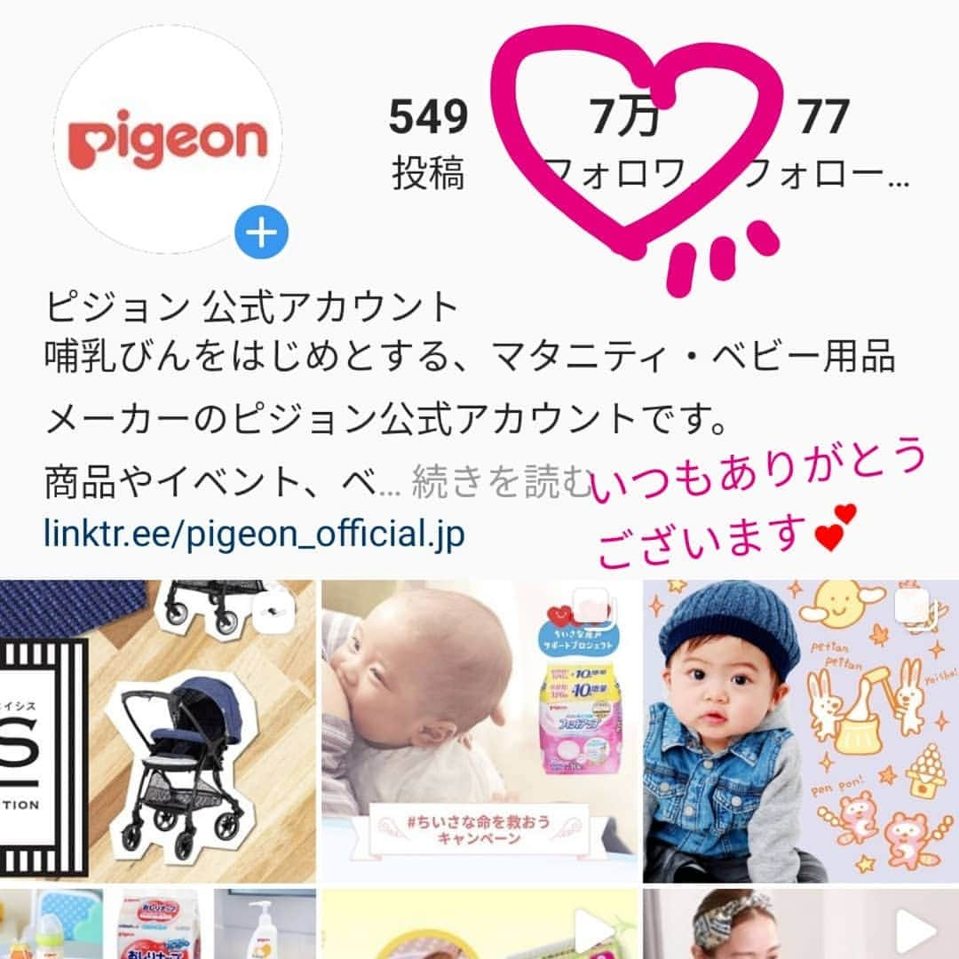 ピジョンのインスタグラム