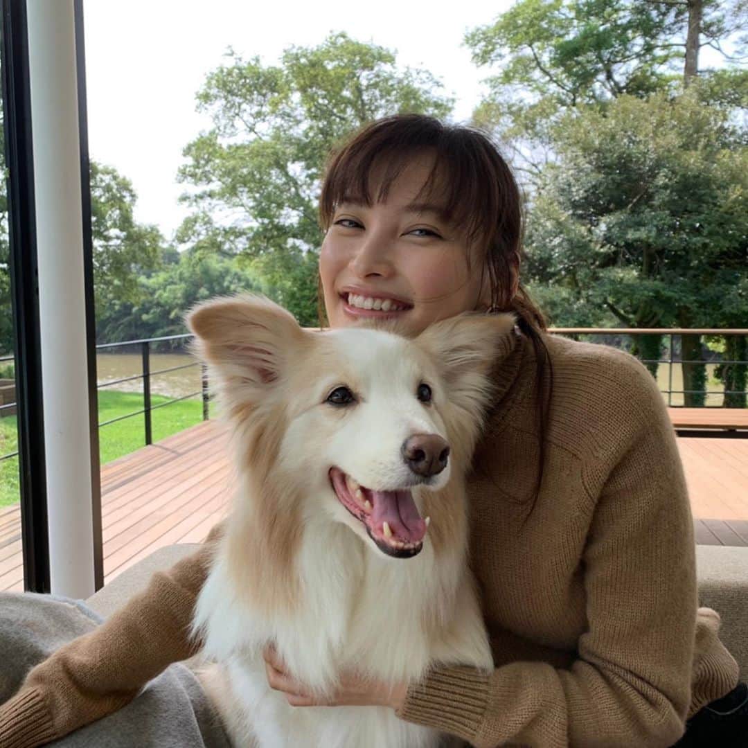 大政絢さんのインスタグラム写真 - (大政絢Instagram)「@precious.jp  の巻頭ページではボーダーコリーのリィーナちゃんと一緒🐕 本当にお利口さんで優雅で可愛く撮影中みんなが虜になっていました✨わたしもその一人✨また会いたいな〜🐕  #precious#preciousmagazine #犬といる生活」9月8日 22時04分 - aya_omasa_official