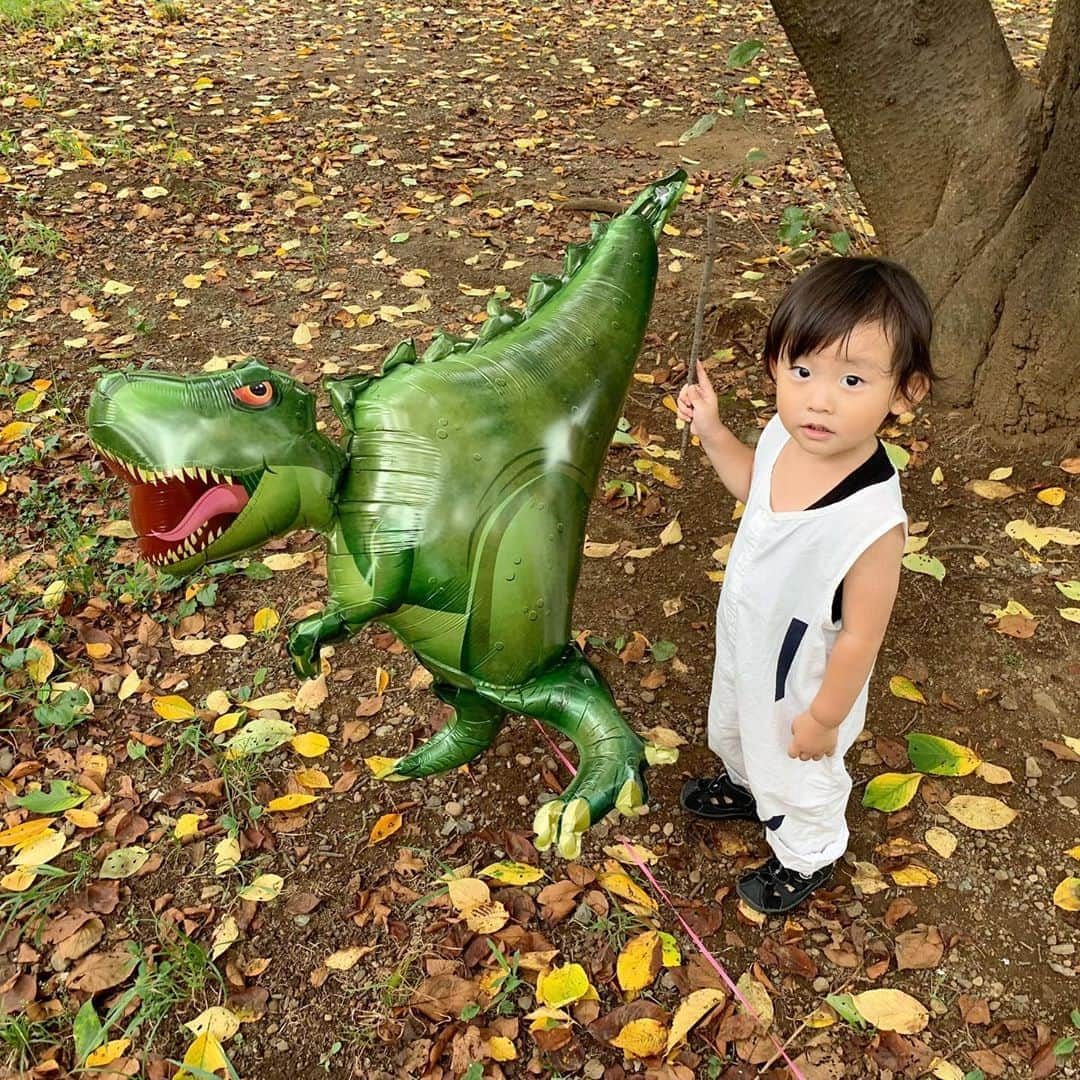 ᴋᴀɴᴀᴋöさんのインスタグラム写真 - (ᴋᴀɴᴀᴋöInstagram)「ガォー🦖💘👶🏻🍂 * 先日頂いた 恐竜のバルーンと お散歩🎈 大喜びでした😌💕 * #2歳4ヶ月#男の子#恐竜#バルーン#お散歩#末っ子」9月8日 22時07分 - kanakokko_34_