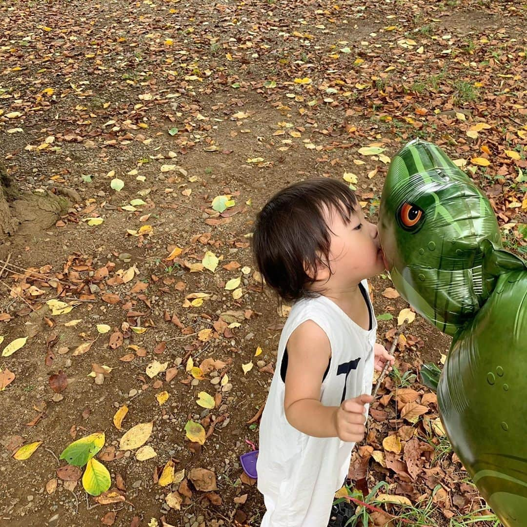 ᴋᴀɴᴀᴋöさんのインスタグラム写真 - (ᴋᴀɴᴀᴋöInstagram)「ガォー🦖💘👶🏻🍂 * 先日頂いた 恐竜のバルーンと お散歩🎈 大喜びでした😌💕 * #2歳4ヶ月#男の子#恐竜#バルーン#お散歩#末っ子」9月8日 22時07分 - kanakokko_34_