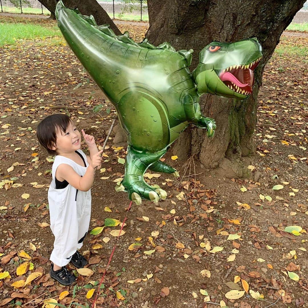 ᴋᴀɴᴀᴋöさんのインスタグラム写真 - (ᴋᴀɴᴀᴋöInstagram)「ガォー🦖💘👶🏻🍂 * 先日頂いた 恐竜のバルーンと お散歩🎈 大喜びでした😌💕 * #2歳4ヶ月#男の子#恐竜#バルーン#お散歩#末っ子」9月8日 22時07分 - kanakokko_34_