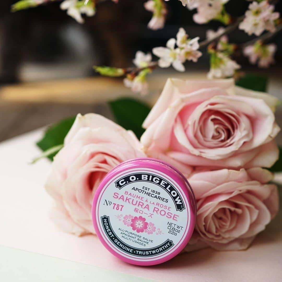 C.O. Bigelowさんのインスタグラム写真 - (C.O. BigelowInstagram)「Inspired by our travels to Japan, multi-purpose Sakura Rose Salve soothes lips, cuticles, and dry patches with rose extract, lanolin, jajoba, and cotton seed oils. 🌹✨🌸⁠ ⁠ 📷 @cobigelowjp⁠」9月8日 23時20分 - cobigelow