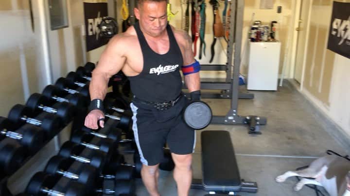 のインスタグラム：「Seated one dumbbell French press is great for stretching out these triceps. This position is not easy for me due to my lack of shoulder flexibility but I’m working on it.  ダンベルフレンチプレスは上腕三頭筋をストレッチさせる代表種目。肩関節が固いと難しいけれどいい種目なので避けずにやる。 @evolgear @cronos_apparel @gaspari @cardilloweightbelts @bodicafe」