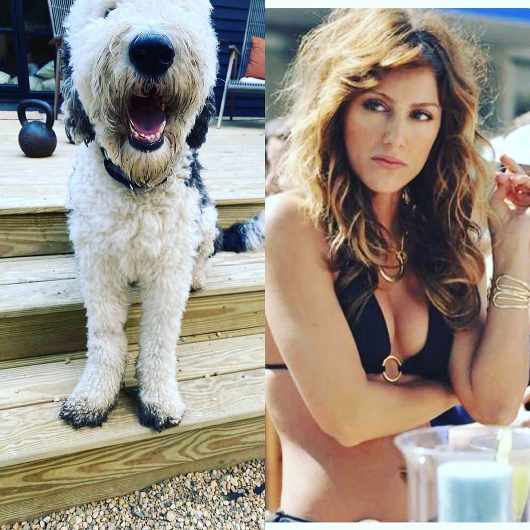 ジェニファー・エスポジートのインスタグラム：「Gus- “Hiya Mom, I found that new pile of dirt from the garden you left for me! I wuv you!  Me- “mutherfu&&er “  #horsedog #dirtbag  and it’s Tuesday」
