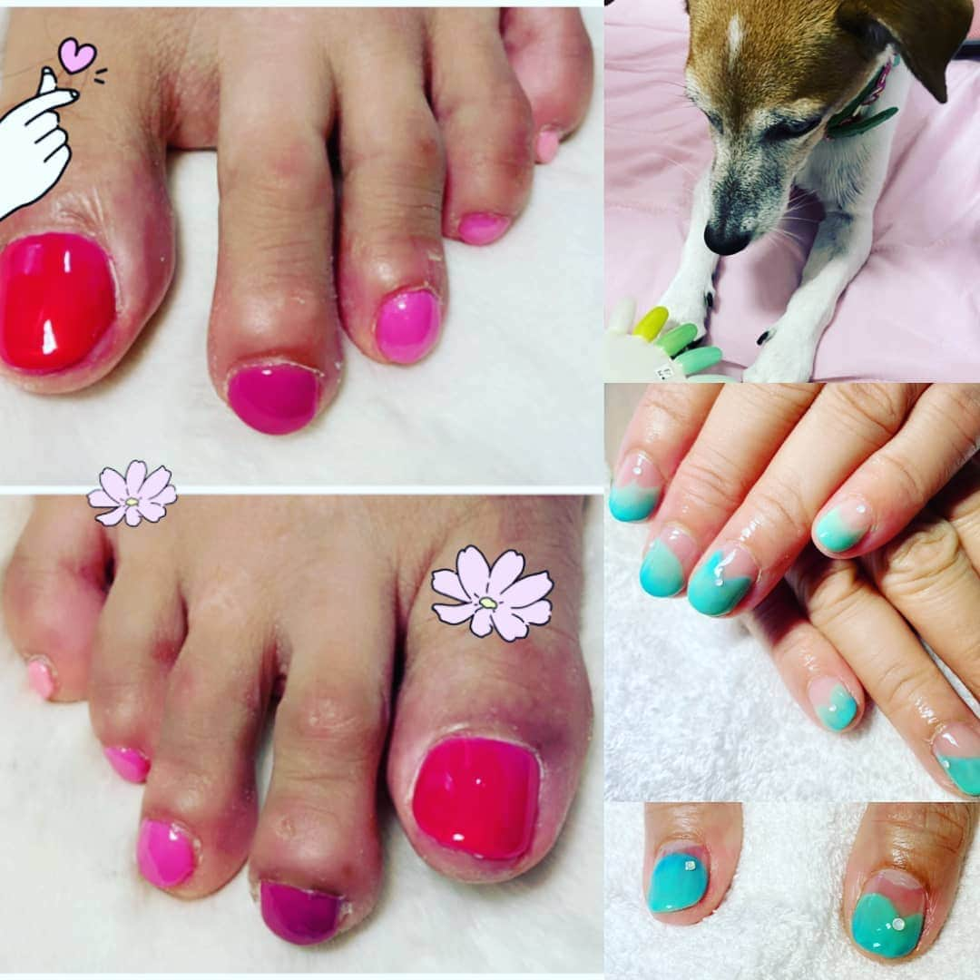 愛華みれさんのインスタグラム写真 - (愛華みれInstagram)「ここるに、🐶🍀ネイルカラー決めてもらったよ❤️ ペパーミントグリーン😁❤️はい、決まり😌  足は、ピンクグラデーションだよん。  今回も、さぁちゃんに来てもらったよ⤴️⤴️😉💗ありがとう✨😁」9月9日 0時38分 - mireaika