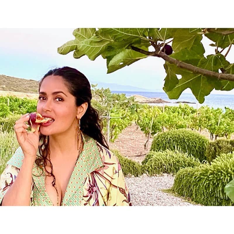 サルマ・ハエックさんのインスタグラム写真 - (サルマ・ハエックInstagram)「Nothing like picking fruit straight from the tree... 🌳 I LOVE #figs! What’s your favourite fruit to pick? Thank you #nature.  ⠀⠀⠀⠀⠀⠀⠀⠀⠀ Nada como cortar la fruta directamente del árbol. 🌳 AMO a los #higos! Cual es tu fruta favorita? Gracias #naturaleza.」9月9日 1時04分 - salmahayek