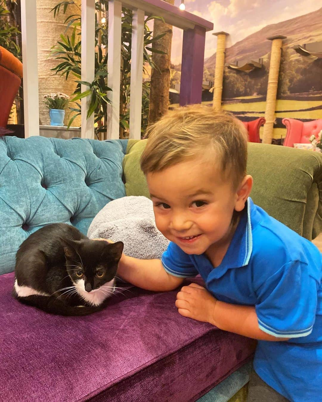 ヘレン・スケルトンさんのインスタグラム写真 - (ヘレン・スケルトンInstagram)「Took him to the cat cafe to get over the trauma of a first day at pre school. He’s taking me to Ibiza to get over the trauma of a cat crawling over my head while I attempted a latte. (Jokes aside it’s a wonderful place if cats are your thing. They’re not my thing) I was hoping for a first day photo but this is cute. #thethingsyoudo #iftheyarehappy #firstdayofschool #preschool #firstday #kids #mumlife #family #dogperson #catsofinstagram」9月9日 0時58分 - helenskelton