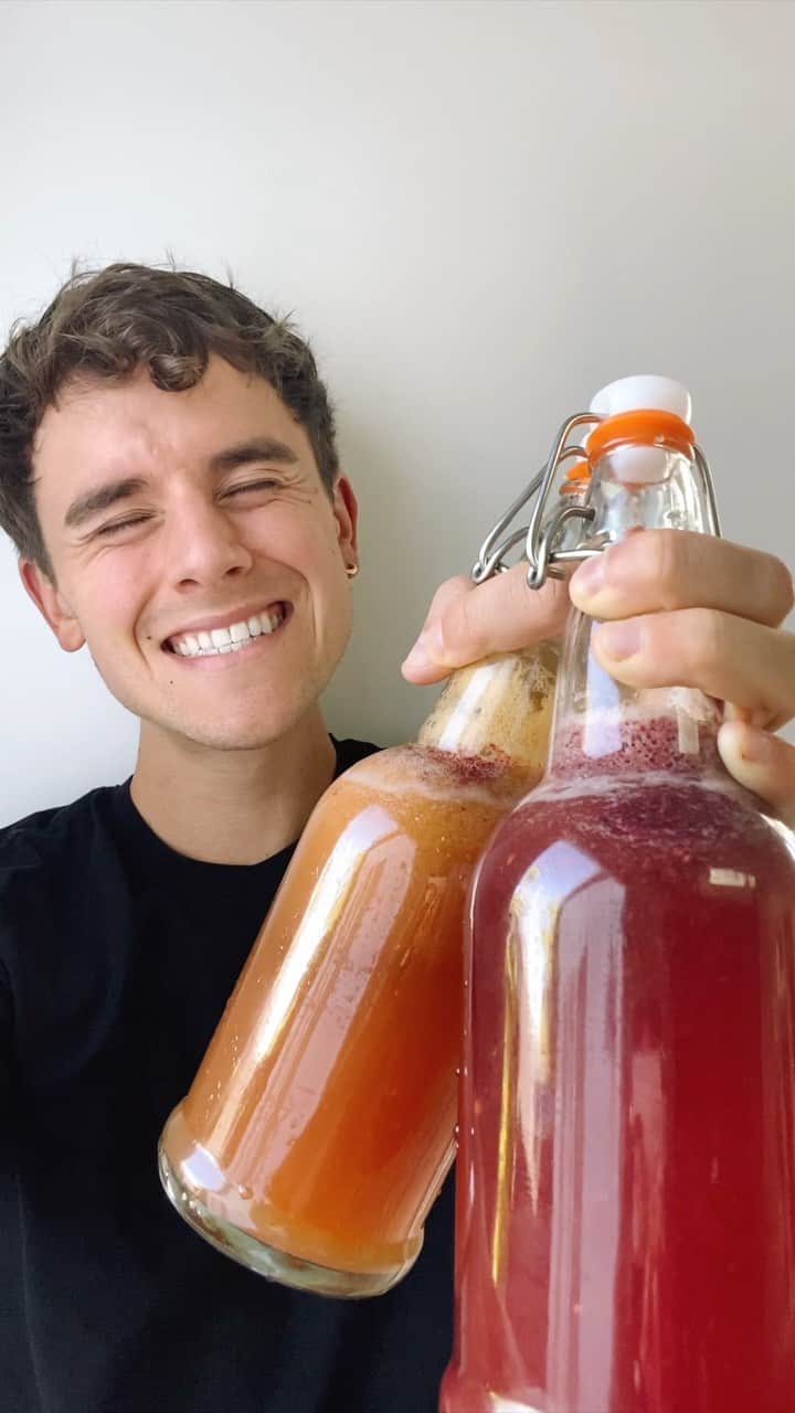 コナー・フランタのインスタグラム：「it’s fermentation time, folks! sit back and enjoy a quick tutorial on how to make kombucha from the comfort of your own kitchen 🙇🏻‍♂️」
