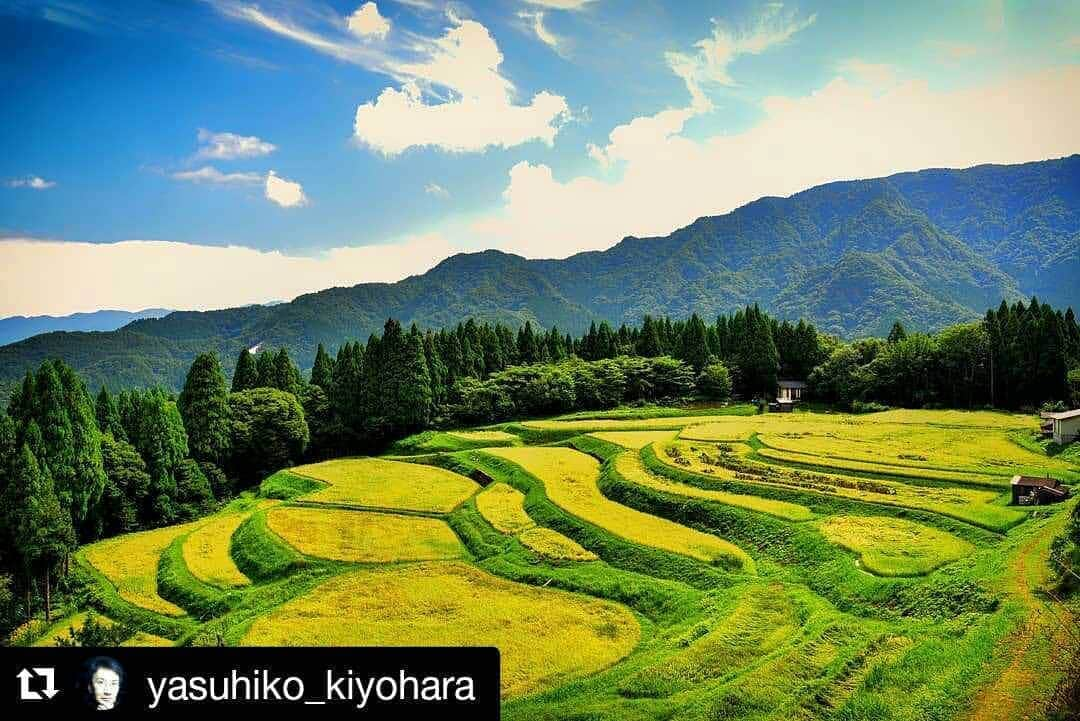 兵庫県のインスタグラム