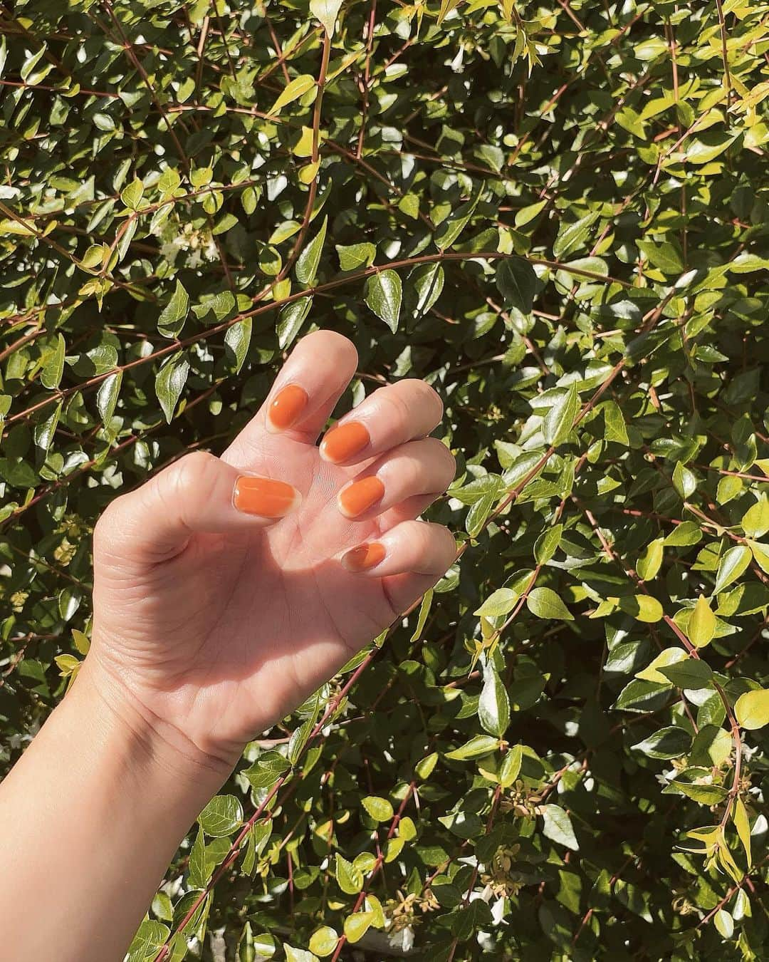 渡邉幸愛さんのインスタグラム写真 - (渡邉幸愛Instagram)「オレンジベージュ🍊  #newnail #komenail #オレンジベージュ #秋カラー #夏カラー #クリアフレンチ #ネイルデザイン」9月9日 14時12分 - koume_watanabe.official