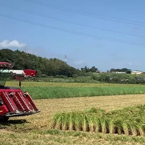 道の駅やちよのインスタグラム