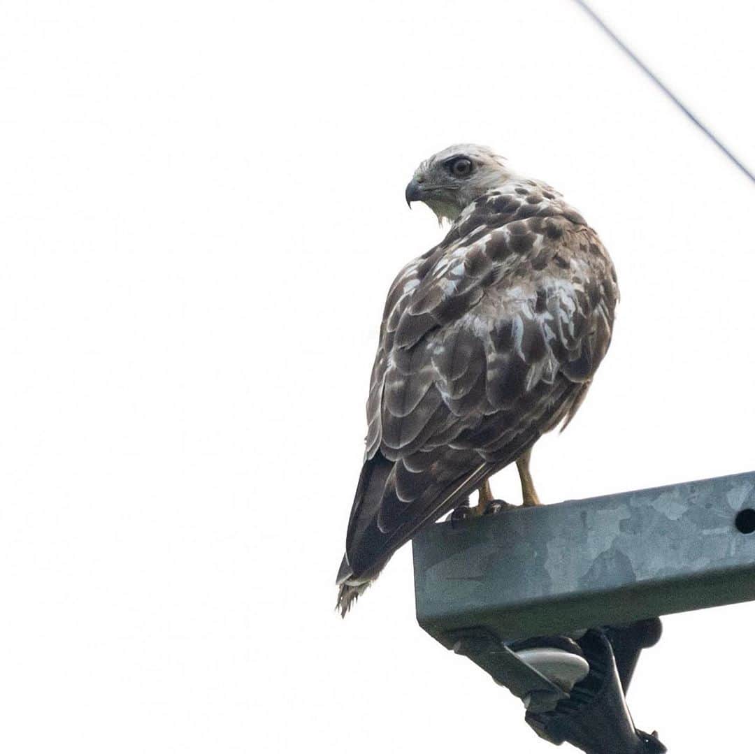 山人のグルメインスタ