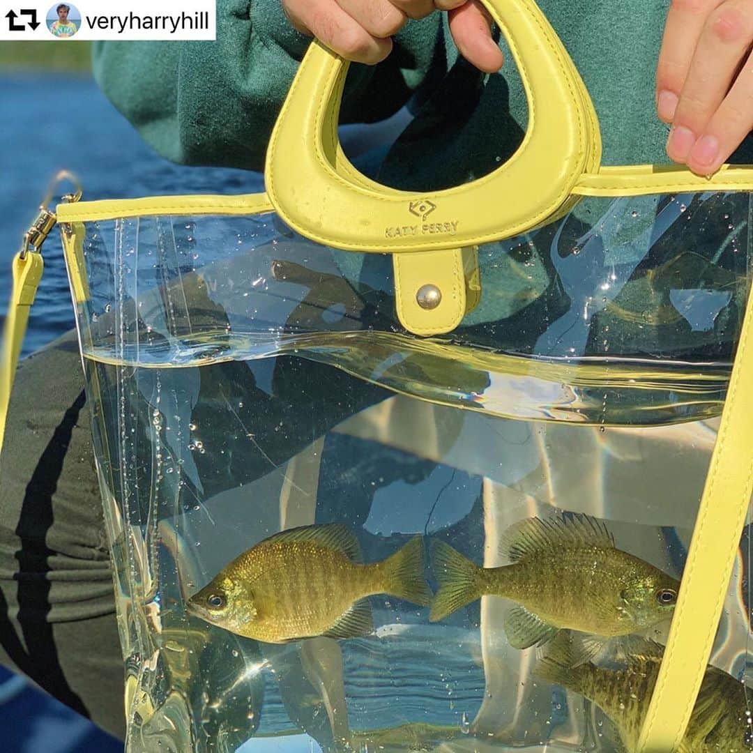 ケイティ・ペリーさんのインスタグラム写真 - (ケイティ・ペリーInstagram)「#ShoesdayTuesday #TroutdayTuesday #KatyPursey @katyperrycollections 🐟👜🐠  Posted @withregram • @veryharryhill Fish in my Katy Perry tote checckkkkk! ⁣ ⁣ ⁣ Ok so anytime a clear bag comes into my possession, the first question that comes to mind is: if I put an Almond Joy in this bag, will that disgust and detract potential robbers? Kidding. That’s the second question. The first is: can this be an aquarium? And if so, for what? In this case, the answer is YES! The Katy Perry pineapple tote can 1000% house 3 yellowtail trout comfortably. Alert Vogue! I know, I know - you’re thinking “wow, I never knew Harry was into marine biology.” And you’re probably right (although I eat a lot of seaweed and think Sara Paxton and Emma Roberts were AMAZING in Aquamarine, a marine biology classic). But I AM into @katyperry and her @katyperrycollections bags! And I’m delighted that they decided to hooketteuppe with a new fish tank. Err, tote. 😘 ⁣ ⁣ Speaking of Katy Perry, she just gave birth to DAISY BLOOM, her first child with Orlando Bloom! Head over to @unicef (ok random acts of charity queen) to see their birth announcement! Katy if you ever need someone to babysit 😉 kidding but I can totally find you a sitter cuz I don’t do babies lol ⁣ ⁣ ⁣ PS thank you to to my team of ethical fishermen who made this shoot happen - Gwen literally made me do it ON the pontoon so that we could catch and release within minutes. Just in case any of you were under the impression that I currently have 3 fish swimming around in a purse at the foot of my bed. (Which, in your defense, is probably something I’d do.)」9月9日 6時43分 - katyperry