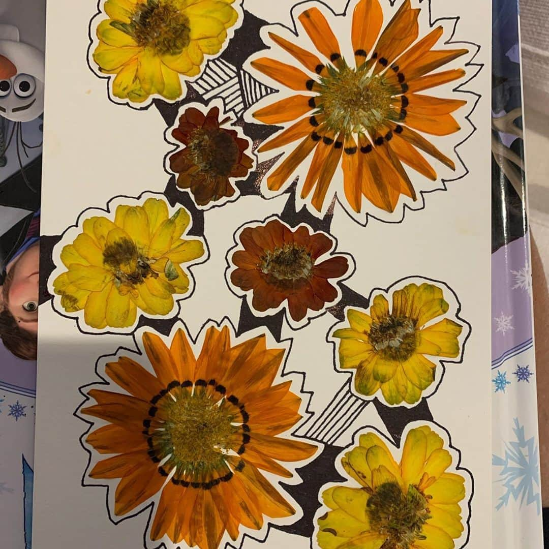 ロージー・オドネルさんのインスタグラム写真 - (ロージー・オドネルInstagram)「frowers out of the press - glued - doodled on - done #pressedflowers #artoftheday #trumpdeathtoll #voteblue2020」9月9日 7時49分 - rosie