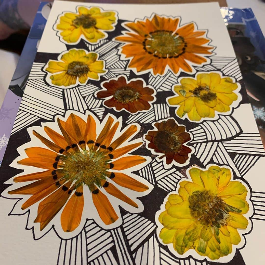 ロージー・オドネルさんのインスタグラム写真 - (ロージー・オドネルInstagram)「frowers out of the press - glued - doodled on - done #pressedflowers #artoftheday #trumpdeathtoll #voteblue2020」9月9日 7時49分 - rosie