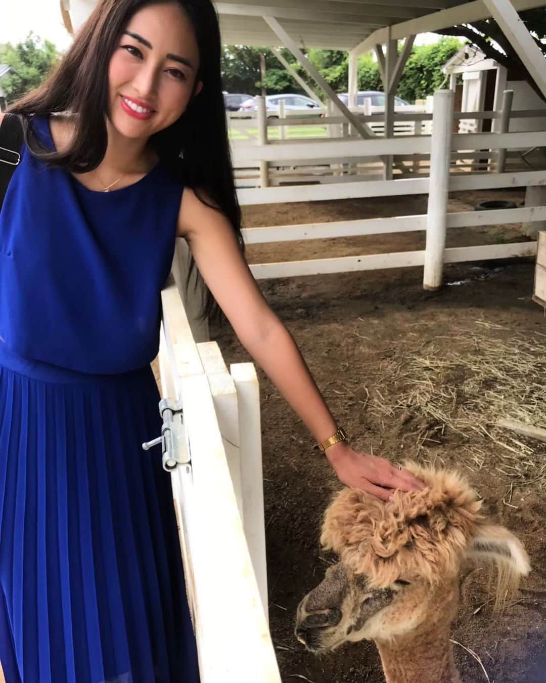 筒井菜月のインスタグラム：「淡路島の1年前の思い出 ・ 廃校を生かしてオープンしたレストラン ・ #のじまスコーラ 前の動物園にて♡ ・ 自然と動物に囲まれた暮らし ・ 人間としての本当の幸せとは？ ・ 都会にいると見えなくなるものが、 ・ はっきりと見えます🥰  #淡路島　#のじまスコーラ　#awaji #pasonagroup #pasona #パソナグループ」