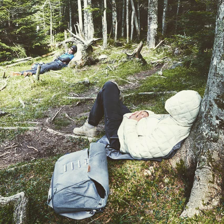 柏倉陽介さんのインスタグラム写真 - (柏倉陽介Instagram)「山の昼寝が最高。シャッキっとして撮影も新鮮になる。 写真教室でも1時間の昼寝を提案してみたい。 📷 #山スタグラム #登山 #山 #山登り #outdoor #hiking #mountains #八ヶ岳 #写真教室」9月9日 8時27分 - yosuke_kashiwakura