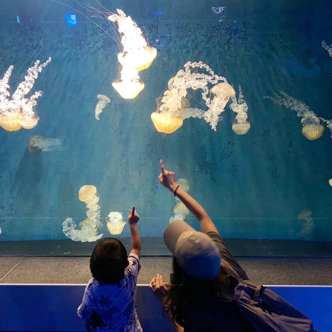 のインスタグラム：「水族館でも電車を手放さない息子👦🚃 ・ たまにふと思う。 ・ 電車や新幹線を見る機会の無い所で育っていたら、この計り知れない電車や新幹線への熱量は何に注がれていたんだろう？🤔 ・ アレもコレもと片っ端からは難しいにしろ、色んな事に出会って選択肢を広げ、自分で選ぶ楽しみを見つけてくれると良いなぁ。 ・ ちなみに 水族館に行って1番楽しそうだったのは、坂道をひたすら走り回り、降ってきた雨を地面の近くで見る事でした😂 ・ それも自分で見つけた楽しみだね🤣 ・ #水族館 #江ノ島水族館  #こどものいる暮らし  #エイ怖い #って毎日言ってる😂 #ちびっこジャイアン #いつも予想外 #鉄男 #子鉄 #いつでもプラレール離さない小僧」
