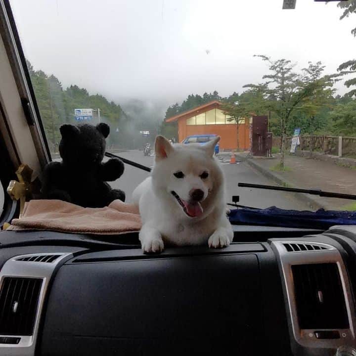 脇田恵子のインスタグラム：「おはようございます🐶。 本日は山にて朝迎えました🥺  #移動暮らし #gypsylife」