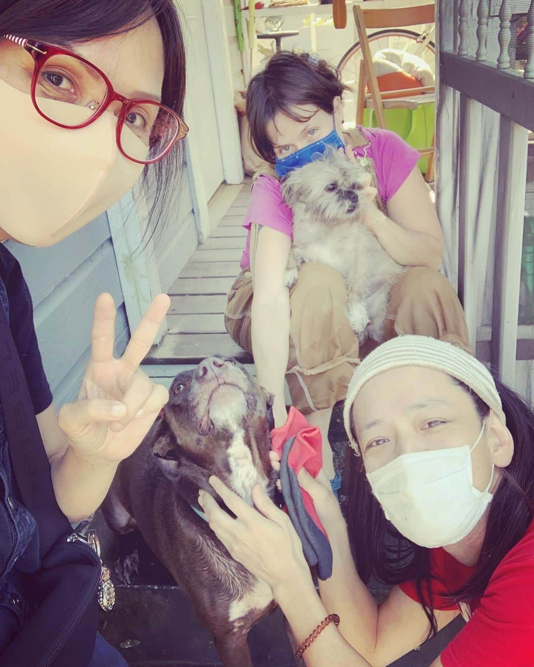 PINKY DOODLE POODLEさんのインスタグラム写真 - (PINKY DOODLE POODLEInstagram)「Our friend Lucy and lovely dogs 🥰  Thank you for helping us a lot!  #ustour2020  #pinkydoodlepoodle  #pdp  #highenergyrocknroll  #livemusic #rockmusic #rock #rockband  #japanese #japaneserockband #chickenranchrecords #livetour  #tourlife #musicianlife #musician #gibsonguitars #gibsonbass  #eb3 #lespaul #marshallamps #vintage #femalebassist #femalevocalist」9月9日 9時09分 - pinkydoodlepoodle
