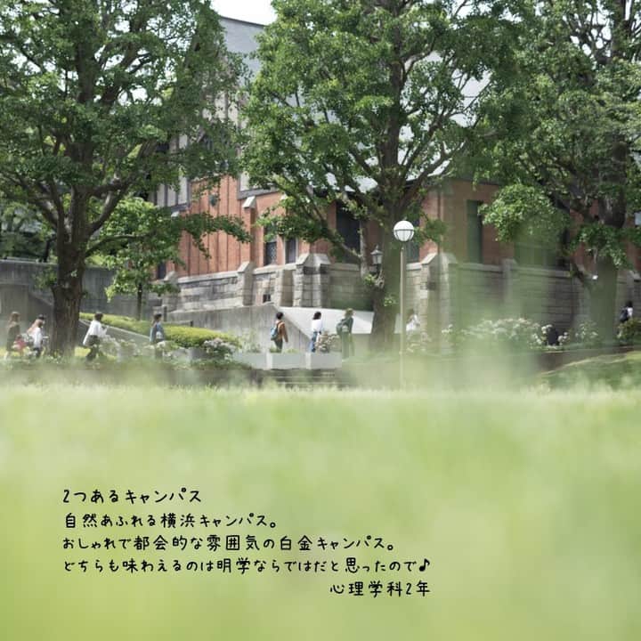 Meiji Gakuin/明治学院大学/明学さんのインスタグラム写真 - (Meiji Gakuin/明治学院大学/明学Instagram)「From 明学生❗️ 😄だから私は明学を選びました!! vol.2 ㅤㅤㅤㅤㅤㅤㅤㅤㅤㅤㅤㅤㅤ 明学生の声を紹介するこのコーナー🌱 ㅤㅤㅤㅤㅤㅤㅤㅤㅤㅤㅤㅤㅤㅤㅤㅤㅤㅤㅤㅤㅤㅤㅤㅤㅤ 今回は、在学生の皆さんが語るㅤㅤ 「明学を選んだ理由✨」の第2弾❣️  冊子やWebサイトにはない 明学生の生の声が満載👍 ㅤㅤㅤㅤㅤㅤㅤㅤㅤㅤㅤㅤㅤㅤㅤㅤㅤㅤㅤㅤㅤㅤㅤㅤㅤㅤㅤㅤㅤㅤㅤㅤㅤㅤㅤㅤ 受験生の皆さん、必見です👀‼️ ㅤㅤㅤㅤㅤㅤㅤㅤㅤㅤㅤㅤㅤㅤㅤㅤㅤㅤㅤㅤㅤㅤㅤㅤㅤㅤㅤㅤㅤㅤㅤㅤㅤㅤㅤㅤㅤㅤㅤ ※掲載の写真は、2020年3月以前に撮影されたものを含みます。 ㅤㅤㅤㅤㅤㅤㅤㅤㅤㅤㅤㅤㅤㅤㅤㅤㅤㅤㅤㅤㅤㅤㅤㅤㅤㅤㅤㅤㅤㅤㅤㅤㅤㅤㅤㅤㅤㅤㅤ #明治学院大学 #明学 #明治学院 #大学 #授業 #受験生 #がんばれ受験生  #MeijiGakuinUniversity #MeijiGakuin #university」9月9日 9時30分 - mguniv