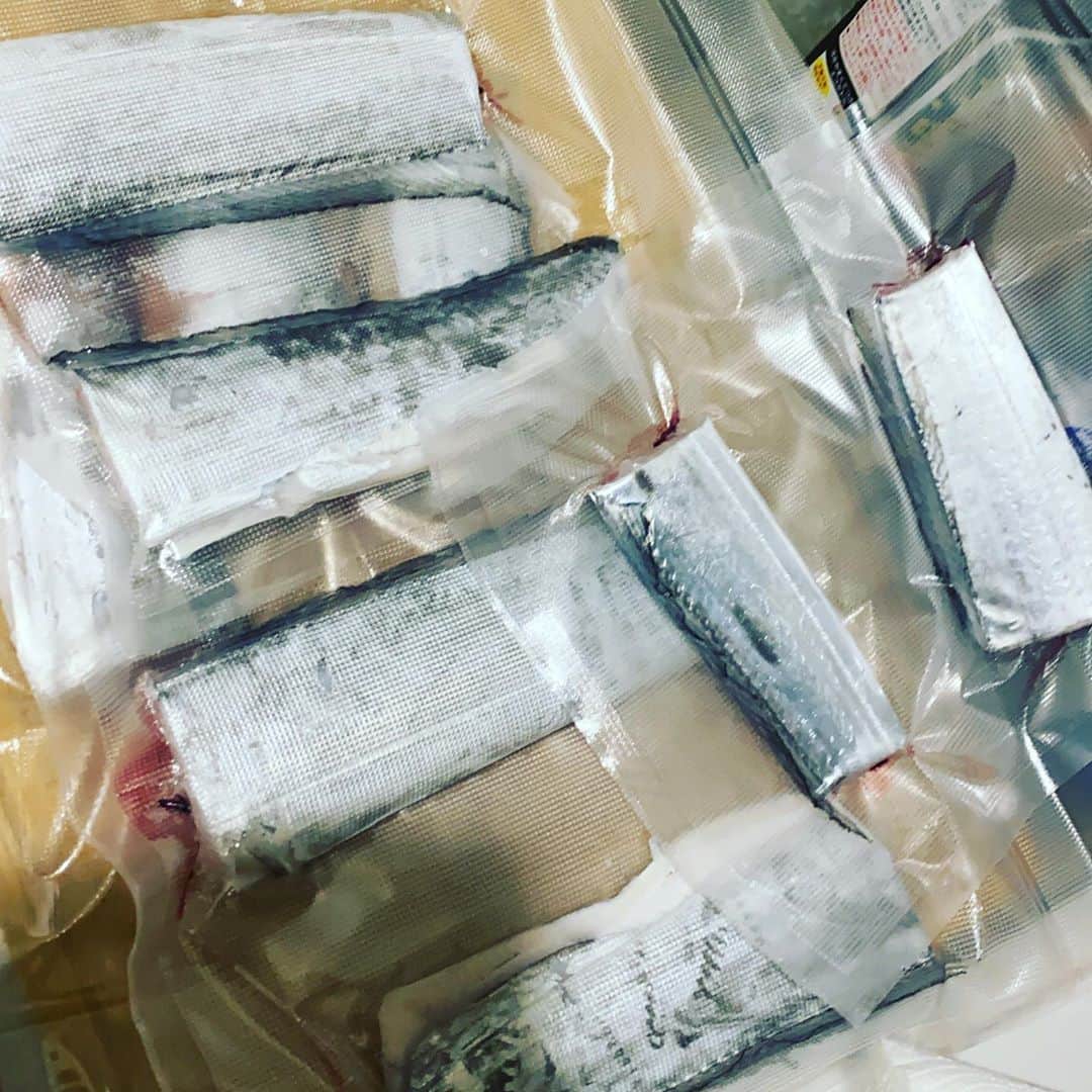 蛇足のインスタグラム：「タチウオ旨かったわあ」