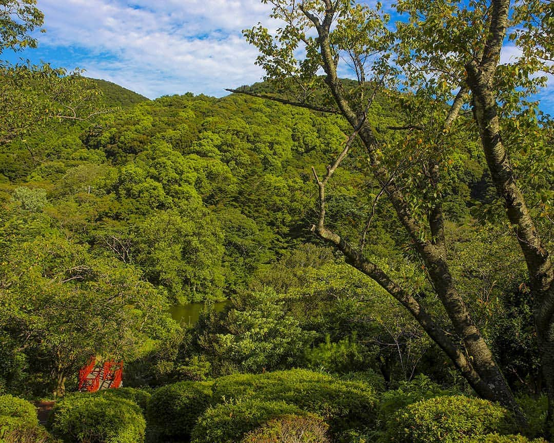 愛知県田原市さんのインスタグラム写真 - (愛知県田原市Instagram)「In the forest. 萌えに燃え * #滝頭公園 #緑がまだ萌えてます。 #もう少しで #紅葉 の季節 #今年はどうかな？ * 濃い緑茶みたいな #たはら暮らし * #渥美半島#田原市#田原#赤羽根#伊良湖岬#伊良湖#赤羽根#菜の花浪漫街道#tahara#irago#サーフィン#山#森#green#surfing#田舎暮らし#日々の暮らし#休日の過ごし方#スローライフ#instagramjaran#igersjp」9月9日 10時52分 - tahara_kurashi