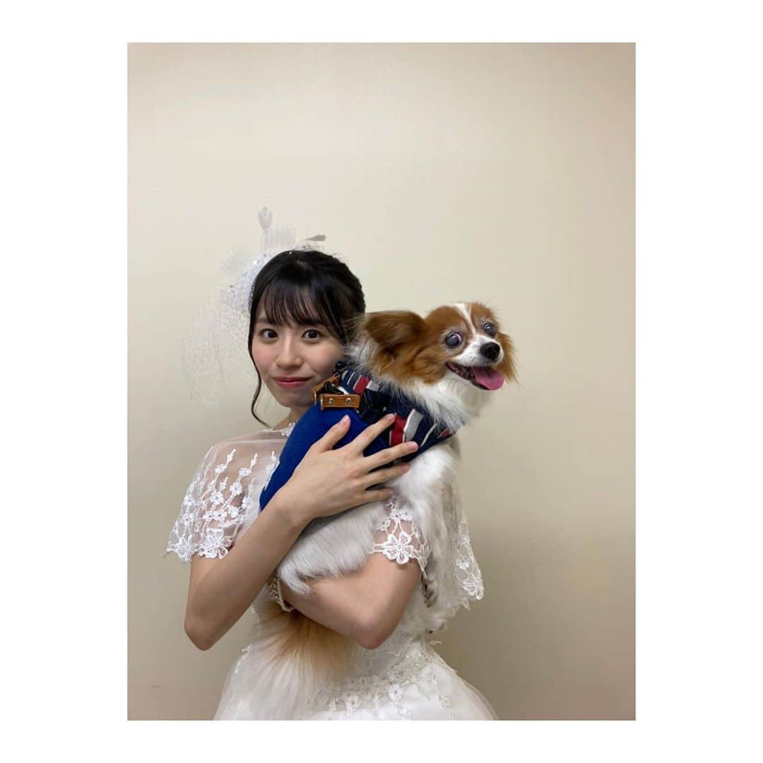 浅倉樹々さんのインスタグラム写真 - (浅倉樹々Instagram)「﻿ チャーリー🐶💗﻿ ﻿ お気に入りの写真！﻿ ﻿ 鏡をみてね﻿ 身だしなみチェックしてたの🤦🏻‍♀️❤️﻿ ﻿ ﻿ ﻿ この日のチャーリーは﻿ 本当に元気で﻿ ﻿ ずっと楽屋を歩き回っていました笑﻿ ﻿ ﻿ 最後の写真は翌日の﻿ 疲れて爆睡してるチャーリー笑﻿ ﻿ ﻿ ﻿ #tsubaki_factory #つばきファクトリー﻿ #浅倉樹々#アイドル #idol #愛犬 #２０歳 #バースデー﻿ #チャーリー #パピヨン #チャリキキ好きな方！﻿ ﻿」9月9日 10時59分 - kiki_asakura.official