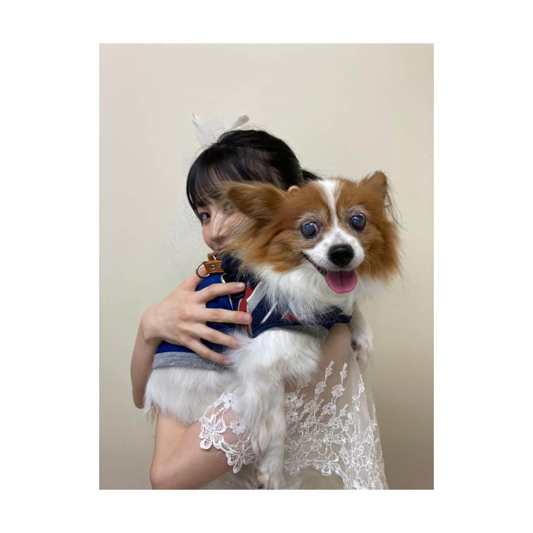 浅倉樹々さんのインスタグラム写真 - (浅倉樹々Instagram)「﻿ チャーリー🐶💗﻿ ﻿ お気に入りの写真！﻿ ﻿ 鏡をみてね﻿ 身だしなみチェックしてたの🤦🏻‍♀️❤️﻿ ﻿ ﻿ ﻿ この日のチャーリーは﻿ 本当に元気で﻿ ﻿ ずっと楽屋を歩き回っていました笑﻿ ﻿ ﻿ 最後の写真は翌日の﻿ 疲れて爆睡してるチャーリー笑﻿ ﻿ ﻿ ﻿ #tsubaki_factory #つばきファクトリー﻿ #浅倉樹々#アイドル #idol #愛犬 #２０歳 #バースデー﻿ #チャーリー #パピヨン #チャリキキ好きな方！﻿ ﻿」9月9日 10時59分 - kiki_asakura.official