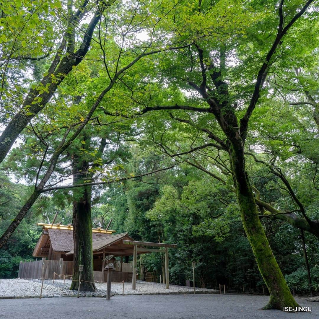 伊勢神宮さんのインスタグラム写真 - (伊勢神宮Instagram)「#伊勢神宮 #神宮 #神社 #心のふるさと #伊勢市宮後 #月夜見宮 #別宮 #神宮125社 #ISEJINGU #JINGU #SOUL_of_JAPAN #japan #jinja #shinto #tsukiyominomiya」9月9日 11時00分 - isejingu.official