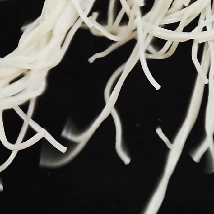 安藤成子のインスタグラム：「ついに明日！！日比谷OKUROJIに 『そうめん　そそそ　〜その先へ〜』 グランドオープンです✨ ・ そうめんのその先へ！ 【そうめんその先のその先へ〜こだわりの新しいそうめんの世界へ〜】 ・ 小豆島　島の光のそうめんに出会い恋をし、そうめんの新しい可能性を感じ、 そうめんの魅力を世界に伝えるべく ・ 【たかがそうめん　されどそうめん　そうめんその先へ】をコンセプトに ２０１８年そうめん専門店「そそそ」は東京・恵比寿に誕生しました。 ・ 日比谷OKUROJI店では島の光最高品質の黒帯や金帯を使用し こだわりの食材や普段そうめんと合わせることのなかった高級食材など 今までにないそうめんの新しい価値観を生み出します。 ・ そうめんのその先の扉を開いてみませんか？ ・ 日比谷のスペシャリテはじわじわと話題になってる［トリュフ香る黒釜玉そうめん］です ・ ぜひ新しいそうめんの世界をお楽しみください✨ ・ 〒100-0011 東京都千代田区内幸町一丁目 7 番 1 号 日比谷OKUROJI G17 そうめんそそそ〜その先へ〜 ・ Tel:0362057172 . Web予約も開始してます✨ ・  https://yoyaku.toreta.in/sososohibiya/#/」