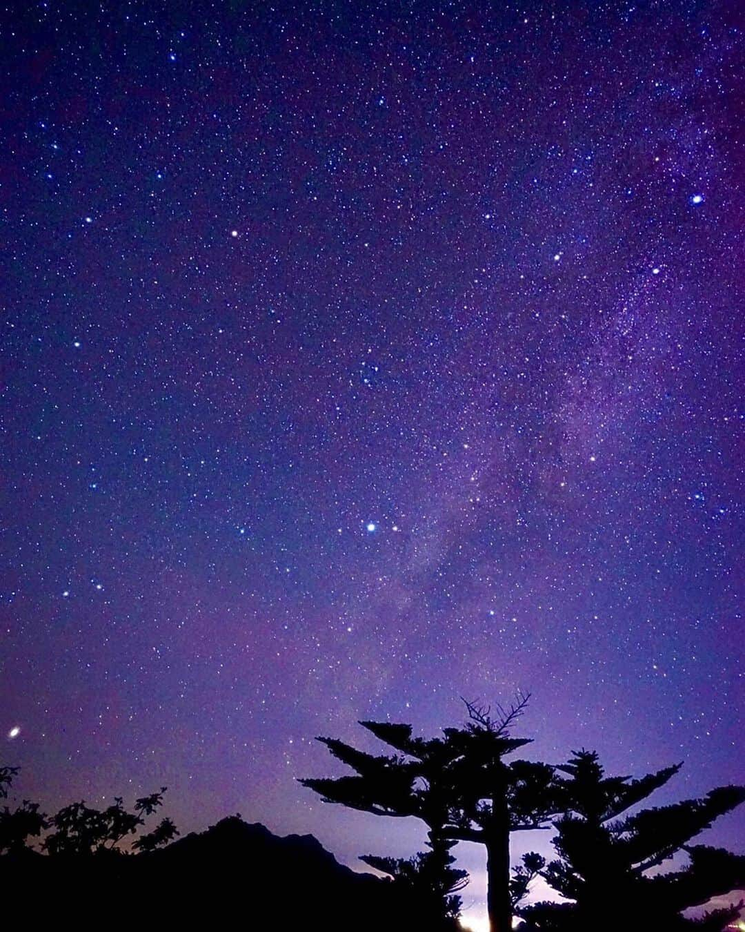 西条市さんのインスタグラム写真 - (西条市Instagram)「【LOVESAIJOじかん】﻿ ﻿ 星空の石鎚﻿ ﻿ 樹のシルエットが﻿ 山って感じやねえ～＾＾﻿ ﻿ 🌲🏔🌌﻿ ﻿ ﻿ Repost @orientalyoshiy﻿ ﻿ ・・・﻿ ﻿ milkyway✨﻿ #天の川 #星空 #星 #綺麗 #beautiful #milkyway #星空撮影 #星空フォト #愛媛 #西条 #石鎚山 #ufoライン #瓶ヶ森 #lovesaijo #lovesaijoじかん #宇宙 #夏 #夜 #夜空 #輝く #japan #写真好きな人と繋がりたい #写真 #山 #star #night #sky #mountains #山好きな人と繋がりたい #登山」9月9日 11時42分 - lovesaijo