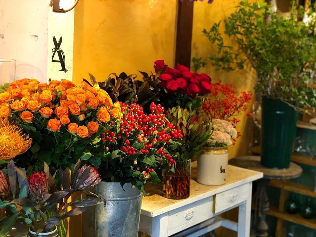 アンヘロ・カロ・ヌエバスさんのインスタグラム写真 - (アンヘロ・カロ・ヌエバスInstagram)「店内、随分と秋めいて来ました。 暑い暑いと言っても、お花はちゃんと季節を届けてくれるんですね。」9月9日 11時57分 - caro_angelo