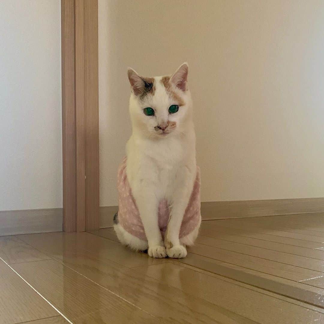 マルのインスタグラム